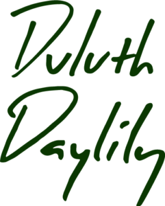 Visit Duluth Daylily